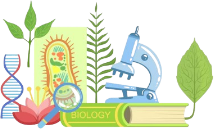 Woman holding a leaf, symbolizing science and nature